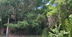 Terreno en Venta – Chapala Haciendas II