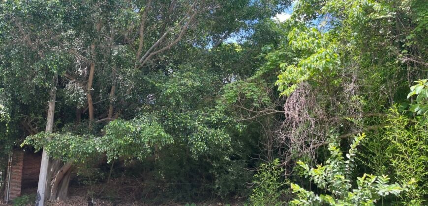 Terreno en Venta – Chapala Haciendas II