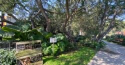 Departamento en Venta en Punta Foresta, Zapopan